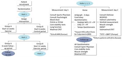 Study Protocol of the Exercise Study: Unraveling Limitations for Physical Activity in Children With Chronic Diseases in Order to Target Them With Tailored Interventions—A Randomized Cross Over Trial